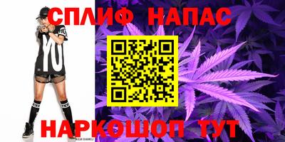 прущие грибы Балаково