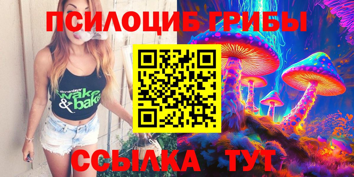 Галлюциногенные грибы GOLDEN TEACHER  Вход с VPN  Дмитров  Галлюциногенные грибы MAGIC MUSHROOMS 