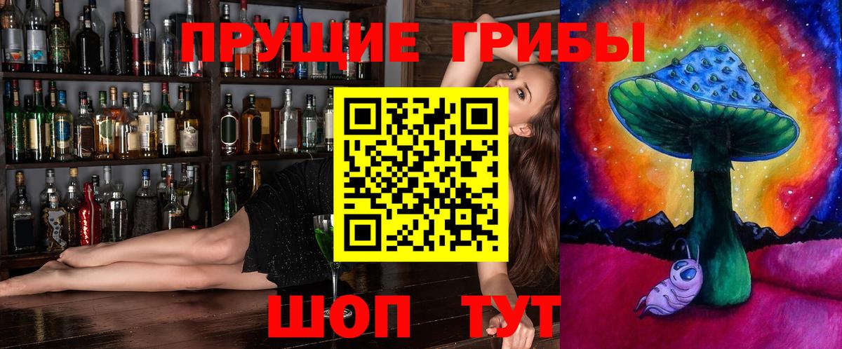 Псилоцибиновые грибы Psilocybe Дмитров